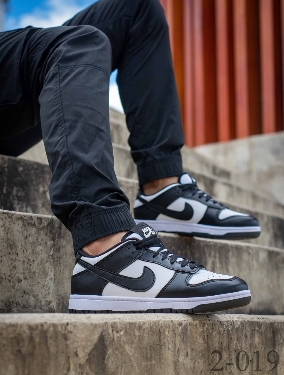 Tenis NIKE SB DUNK