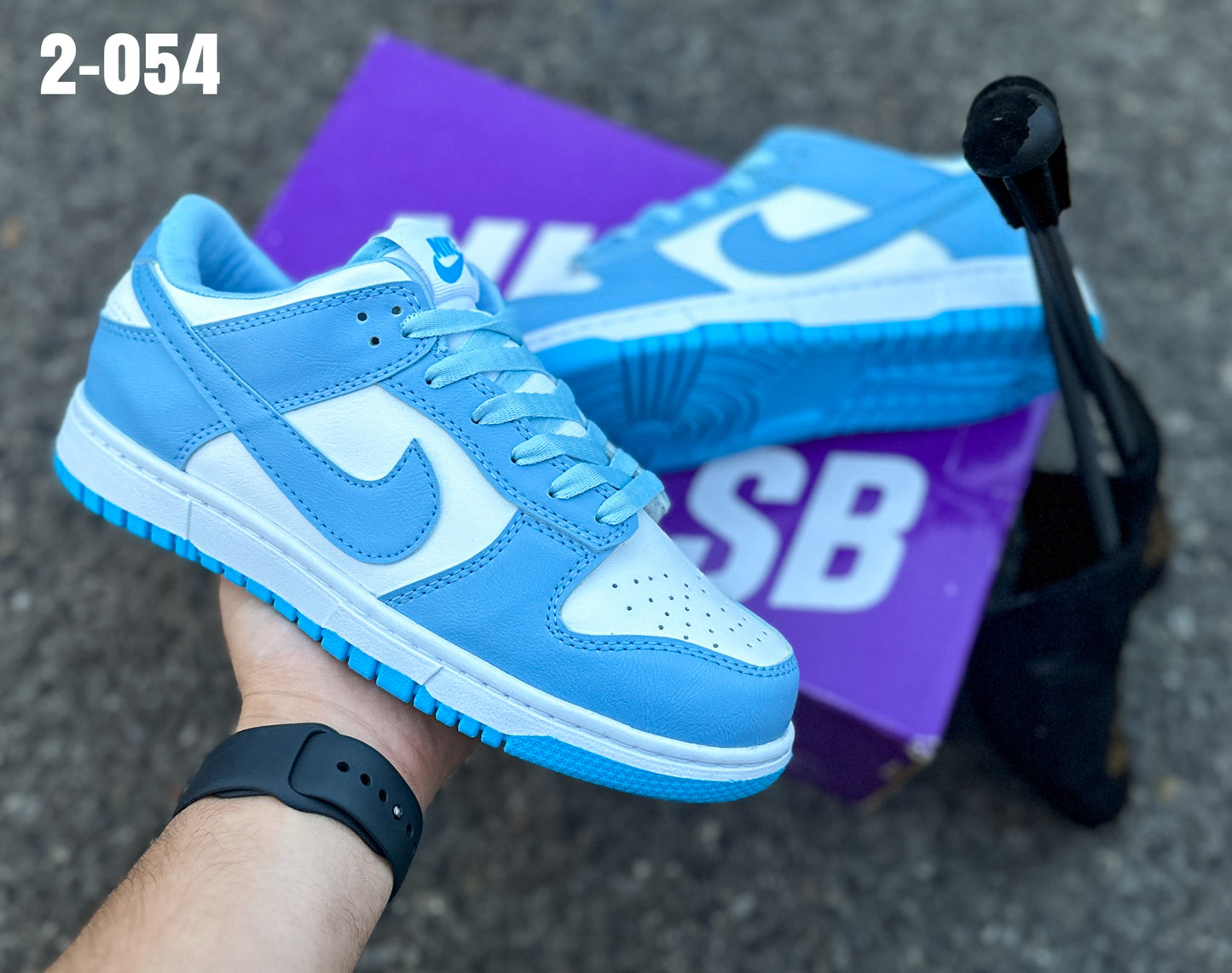 Tenis NIKE SB DUNK